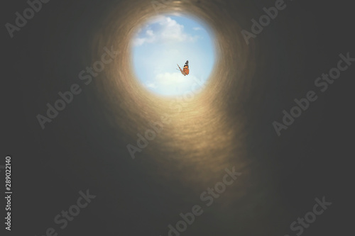 Fotografie, Obraz colorful butterfly finds its way out of a dark tunnel, concept of freedom