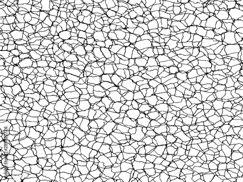 The cracks texture white and black. Vector background.Cracked earth. Structure of cracking. Cracks in dry surface soil texture. shards