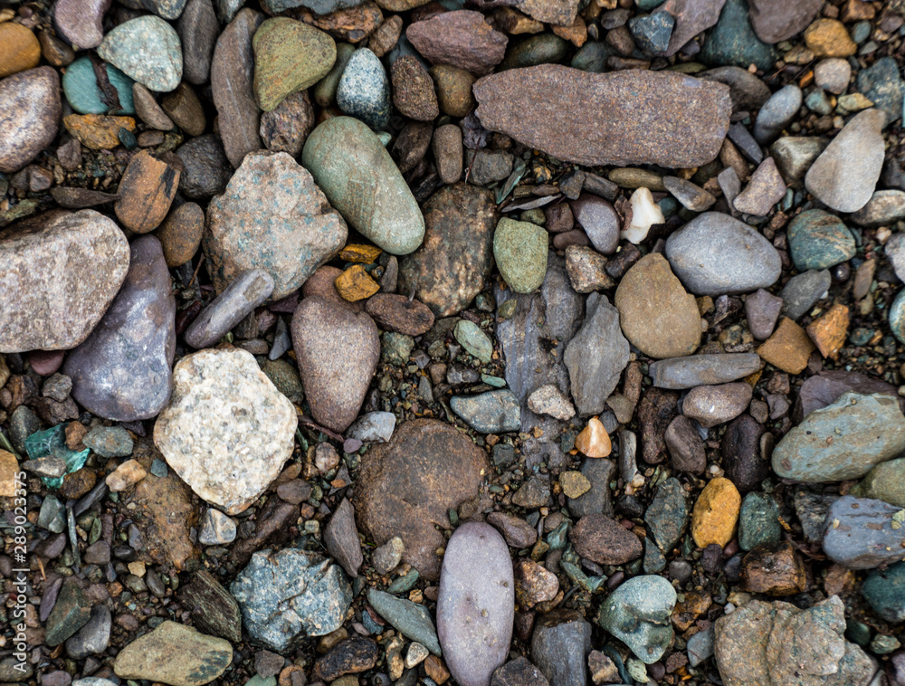 The texture of a shallow river stone. Pebble Background Image The texture of a shallow river stone. Pebble Background Image