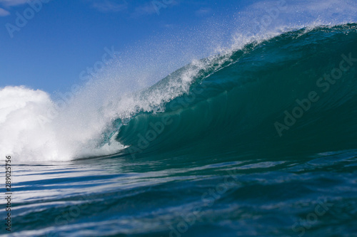 perfect wave breaking on a shallow reef in Indonesia © Ryan