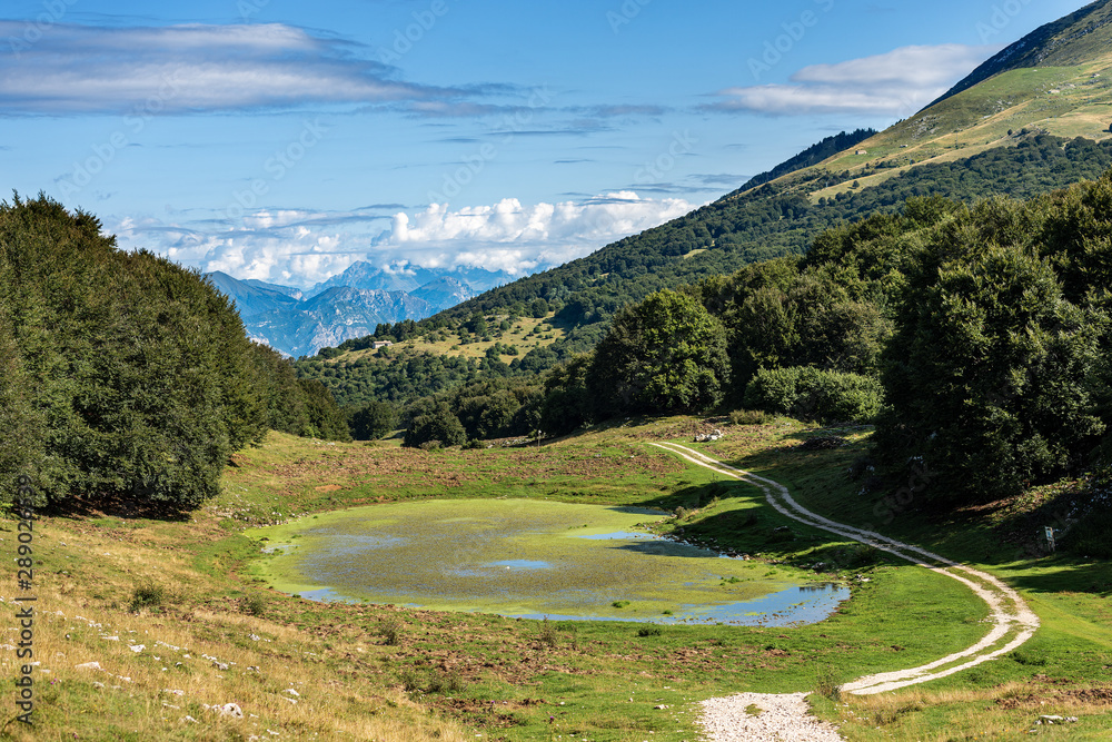 Small lake for livestock in a valley of the Italian Alps. Monte Baldo near Verona and lake Garda, Veneto, Italy, south Europe