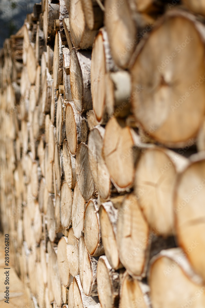 wall of smooth round sections of birch