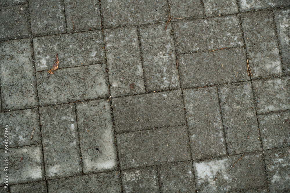 Obraz premium Texture of paving slabs overgrown with grass. Background image of a stratum stone