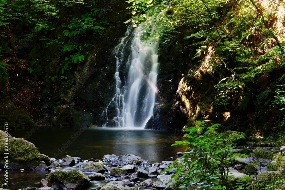 waterfall in the forest Northern Ireland waterfall in the forest Northern Ireland