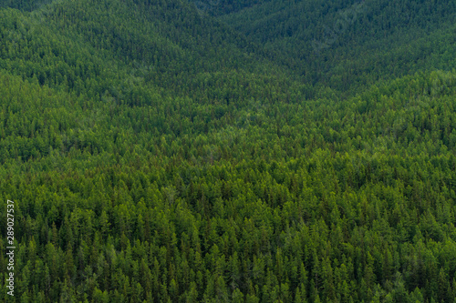 Background image of a mountain landscape. Russia, Siberia, Altai