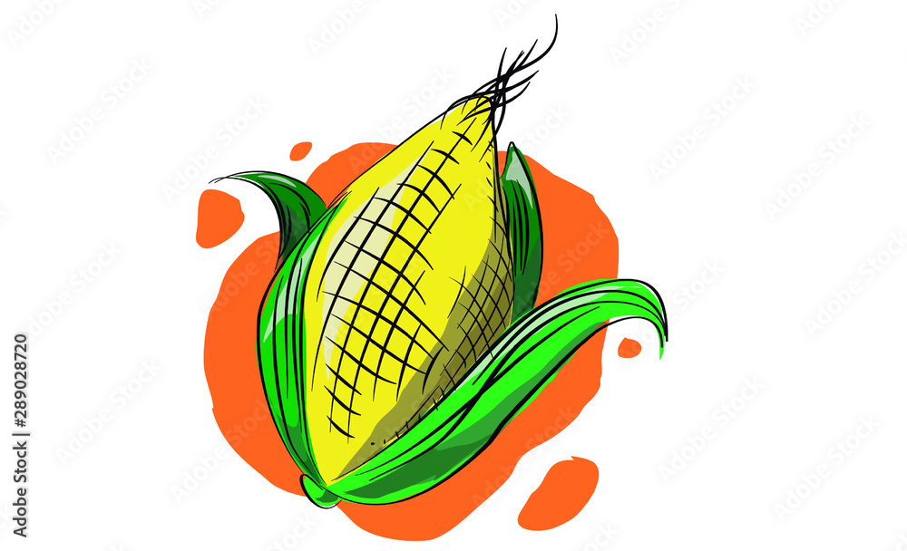 dibujo de elote de maiz, diseño animado vector de Stock | Adobe Stock