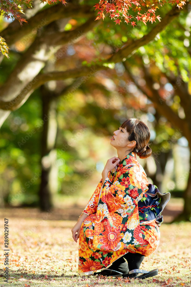 紅葉と着物の女性 紅葉と着物の女性