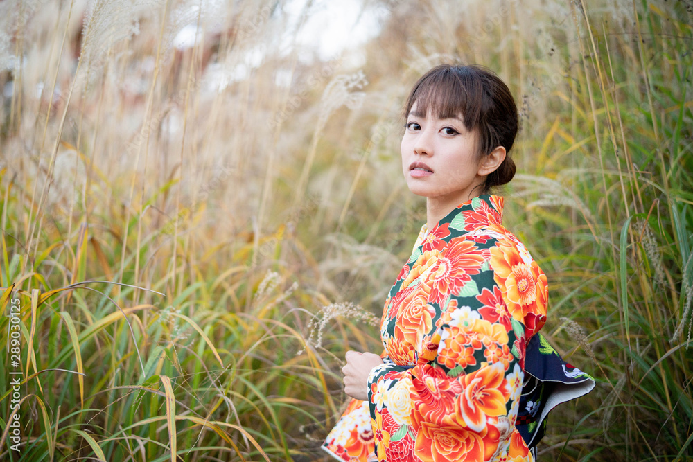 すすきと着物の女性 すすきと着物の女性