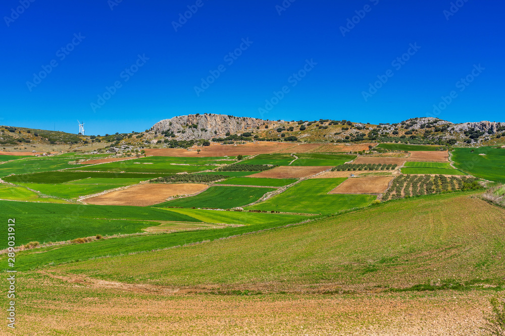 Landscape near Cuevas del Becerro in province Malaga, Andalusia, Spain