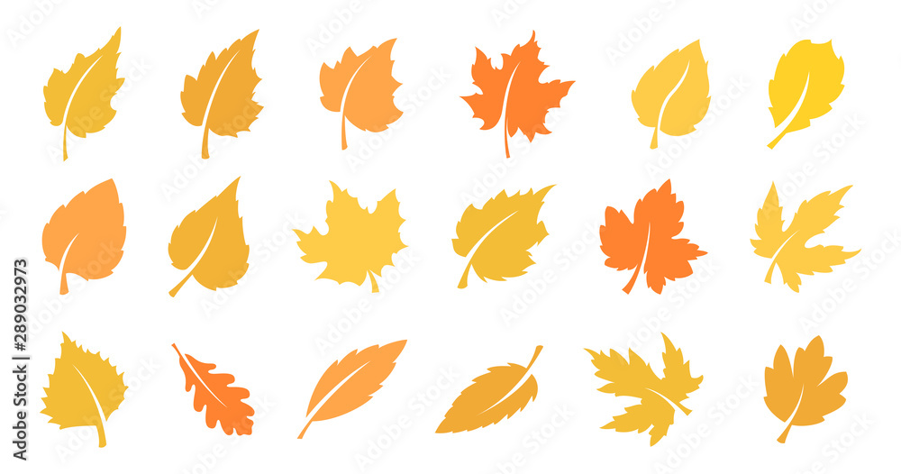 Autumn leaf set - obrazy, fototapety, plakaty 