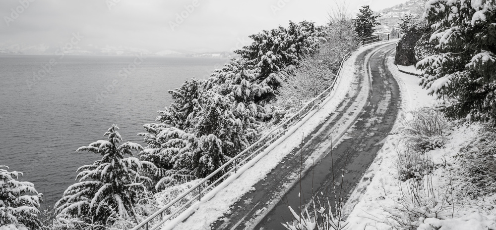 Obraz premium Winter landscape.