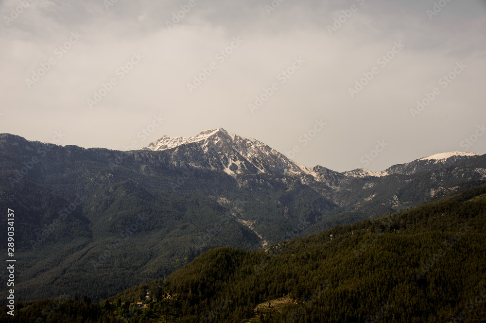 Landscape of the mountains covered greenery and snow