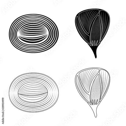 Vector design of fiber and muscular logo. Collection of fiber and body stock vector illustration.