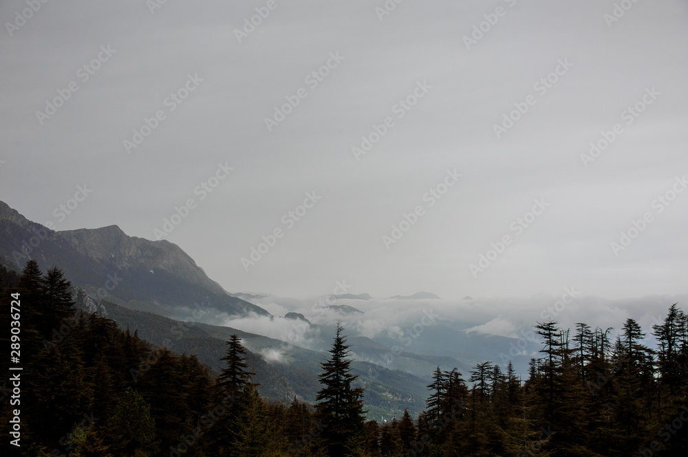 Landscape of the mountains covered by fog