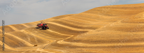 Palouse Washington 8773