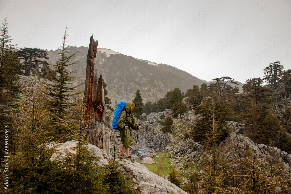 Fototapeta premium Girl in the raincoat with a hood walking up the rock with hiking backpack and sticks