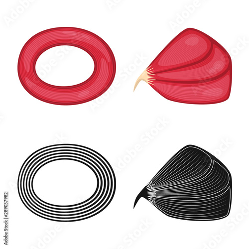 Isolated object of fiber and muscular symbol. Collection of fiber and body stock symbol for web.