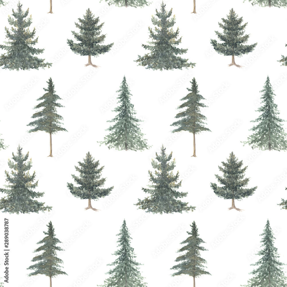 Watercolor hand drawn seamless pattern with spruce trees. Coniferous forest isolated on white background