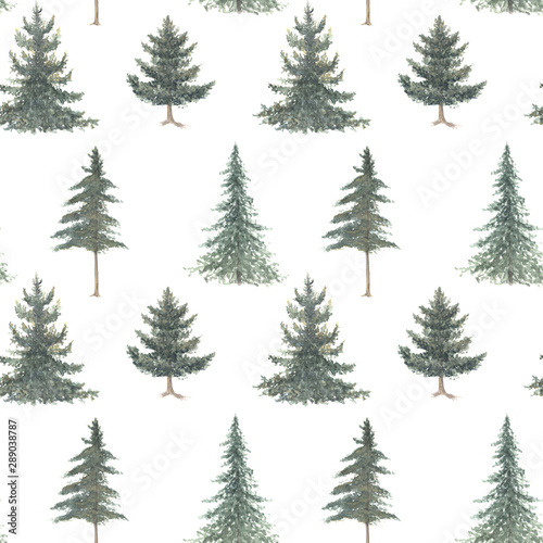 Watercolor hand drawn seamless pattern with spruce trees. Coniferous forest isolated on white background