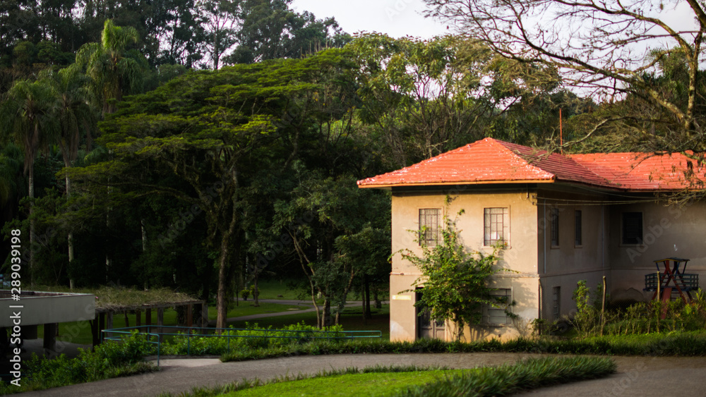 Jardim Botânico de São Paulo Jardim Botânico de São Paulo