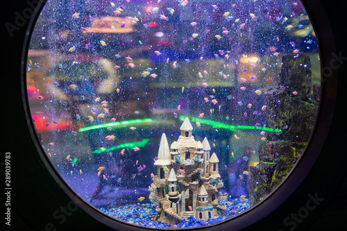 Fototapeta Naklejka Na Ścianę i Meble -  Big aquarium with a round window. Castle and little fishes