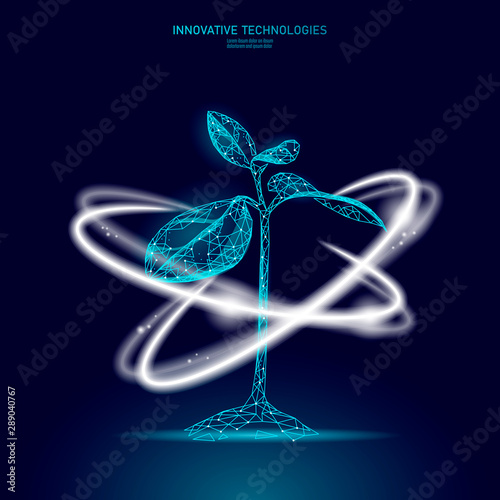Plant sprout glowing effect. Low poly 3D polygonal ecological beauty cosmetics ingredient. Natural supplement healthy leaf vector illustration