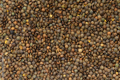 Top view macro image of brown lentils as a natural healthy food background.