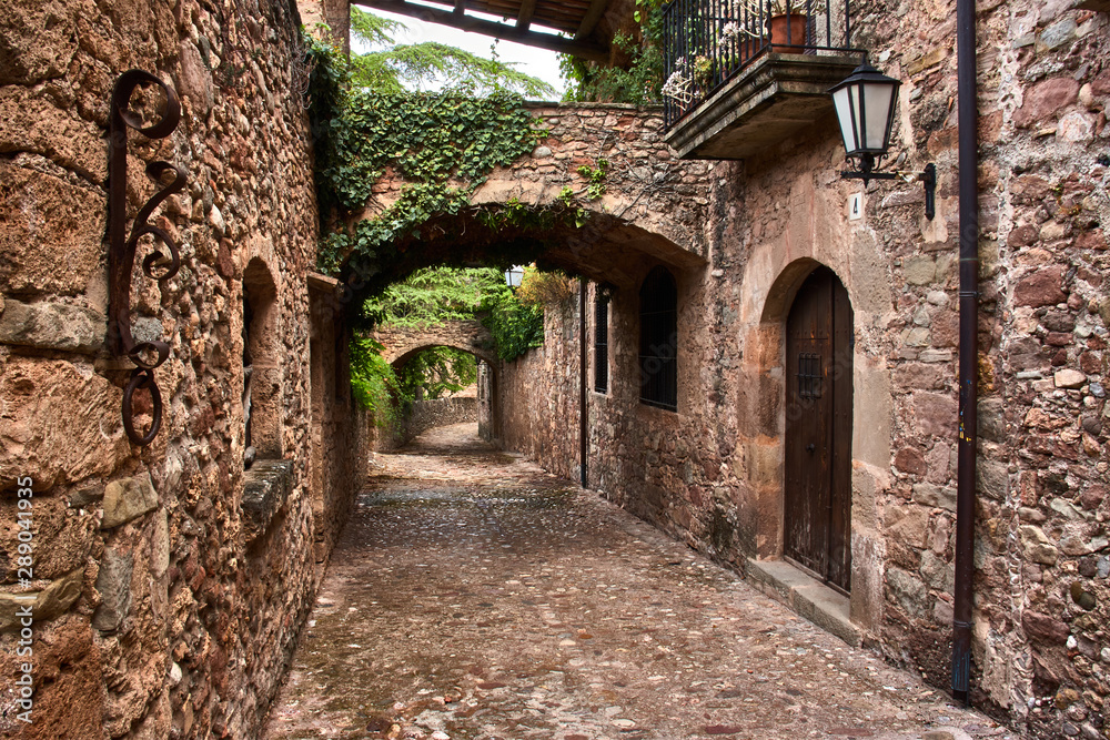 Cobbled street in a medieval village