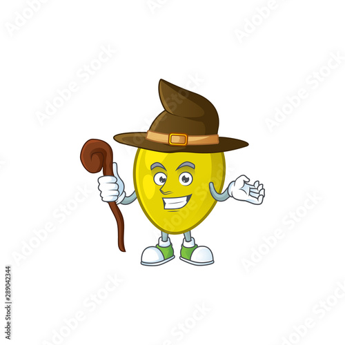 Witch olive oil cartoon mascot for herbal