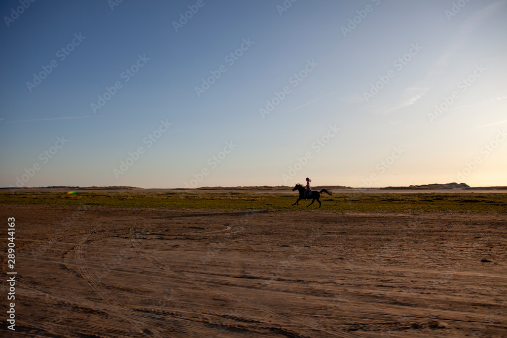 Horse riding at Rømø beach Denmark Horse riding at Rømø beach Denmark