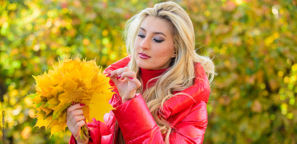 Lady gathering leaves autumn nature background. Girl dreamy face hold bunch maple leaves. DIY project autumn leaf bouquet. Woman gather leaves in park. Autumn is her favorite season of year Lady gathering leaves autumn nature background. Girl dreamy face hold bunch maple leaves. DIY project autumn leaf bouquet. Woman gather leaves in park. Autumn is her favorite season of year