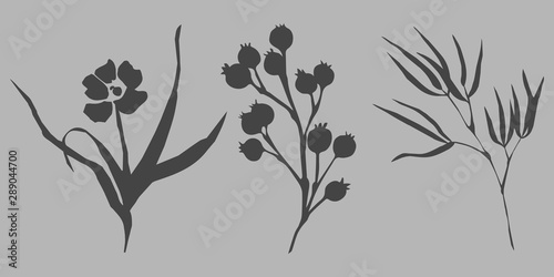 Vector illustration of dafferent twigs and flowers