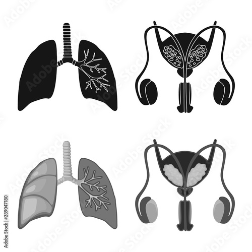 Vector design of biology and scientific sign. Collection of biology and laboratory stock symbol for web.