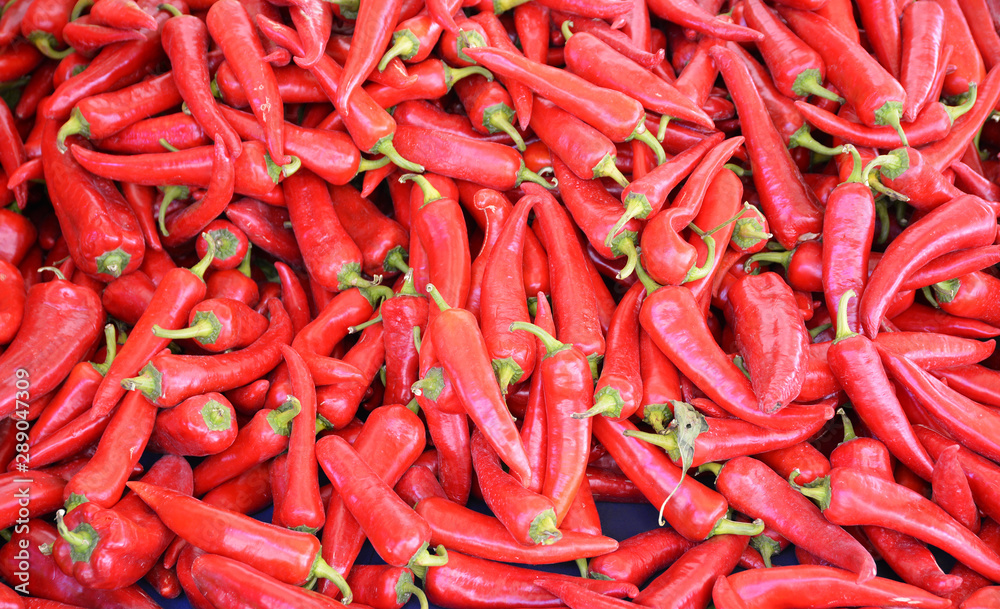 fresh and organic red chillies in market