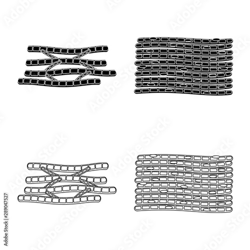 Vector design of fiber and muscular logo. Set of fiber and body stock vector illustration.
