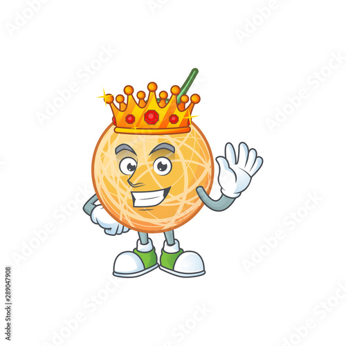 King object cantaloupe fruit for mascot character