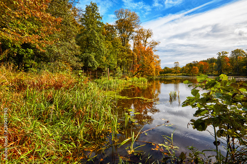 Fototapeta Naklejka Na Ścianę i Meble -  Autumn landscape on a forest lake