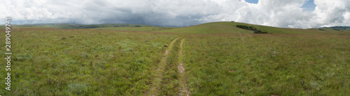Panorama of Nyika plateau with 4x4 track in the grass into the hills