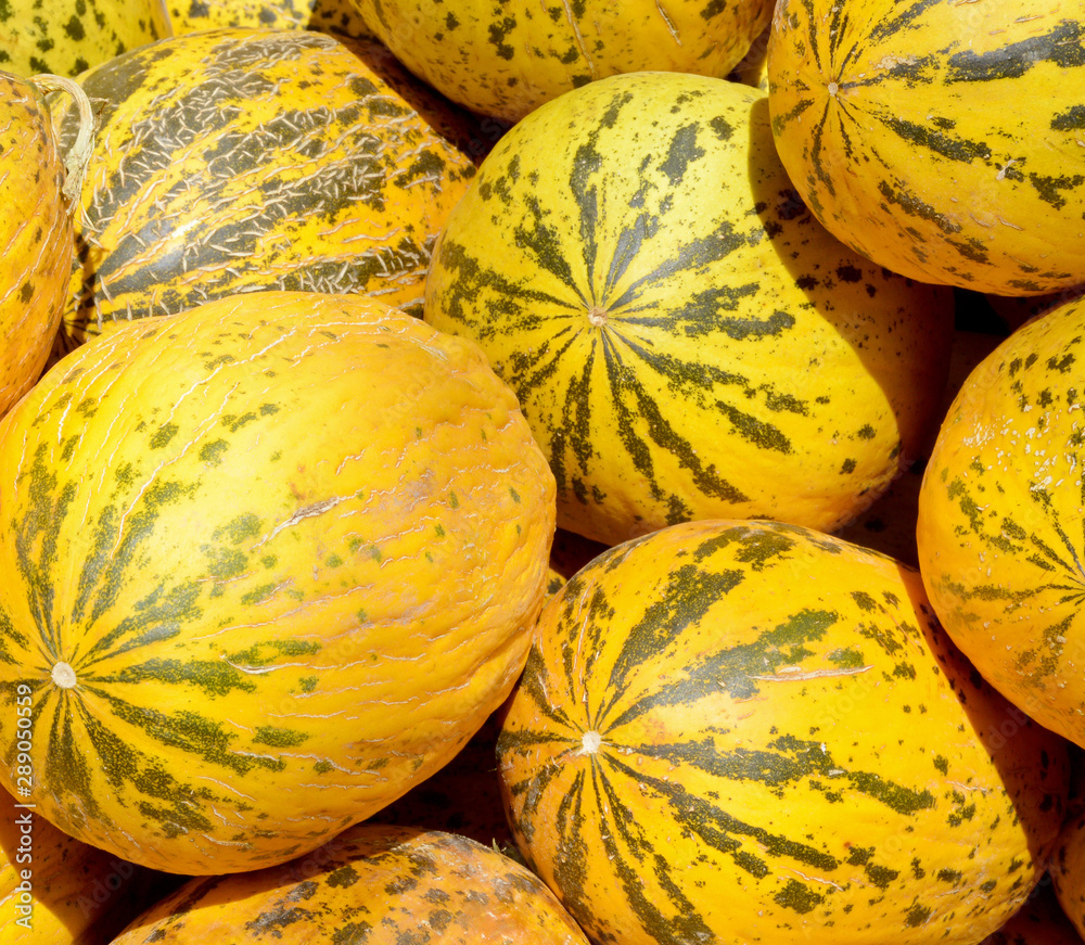 fresh and organic melons in market