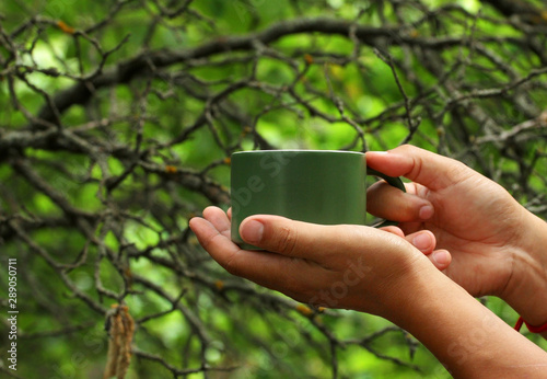 Green mug in the hands, green mug in the green forest, green nature, enjoyment