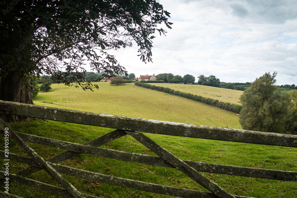 Fototapeta premium Rolling English countryside in East Sussex