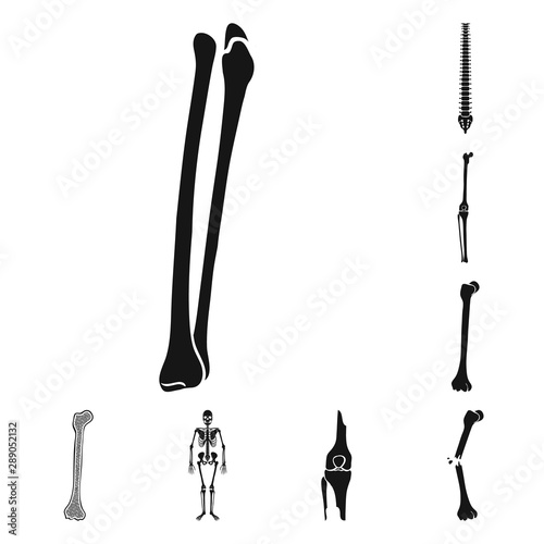Isolated object of biology and medical logo. Collection of biology and skeleton stock vector illustration.