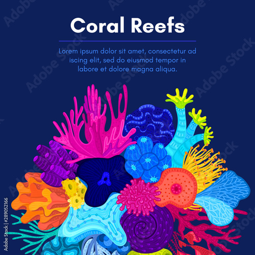 Vector composition of corals. Background with colorful sea or ocean life. Template for cover, invitation, banner, brochure, flyer, label, header. Advertising of water park, aquarium, marine exhibition