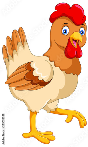 Cute cartoon hen isolated on white background 