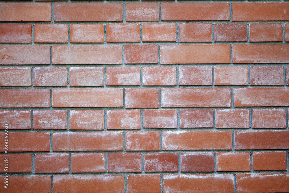 Obraz premium Eflorescence