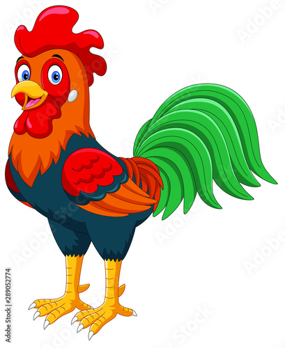 Cute vector cartoon Rooster isolated on white background