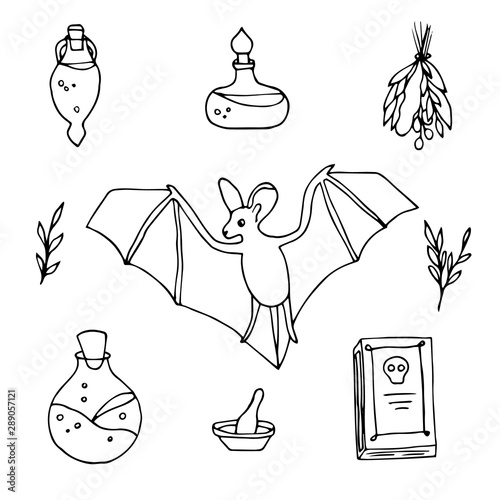 Halloween magic objects set. Sketch elements for ritual. Hand drawn holiday collection. Outline illustration.