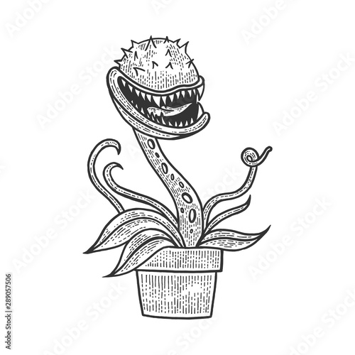 Cartoon flower with teeth sketch engraving vector illustration. Tee shirt apparel print design. Scratch board style imitation. Black and white hand drawn image.