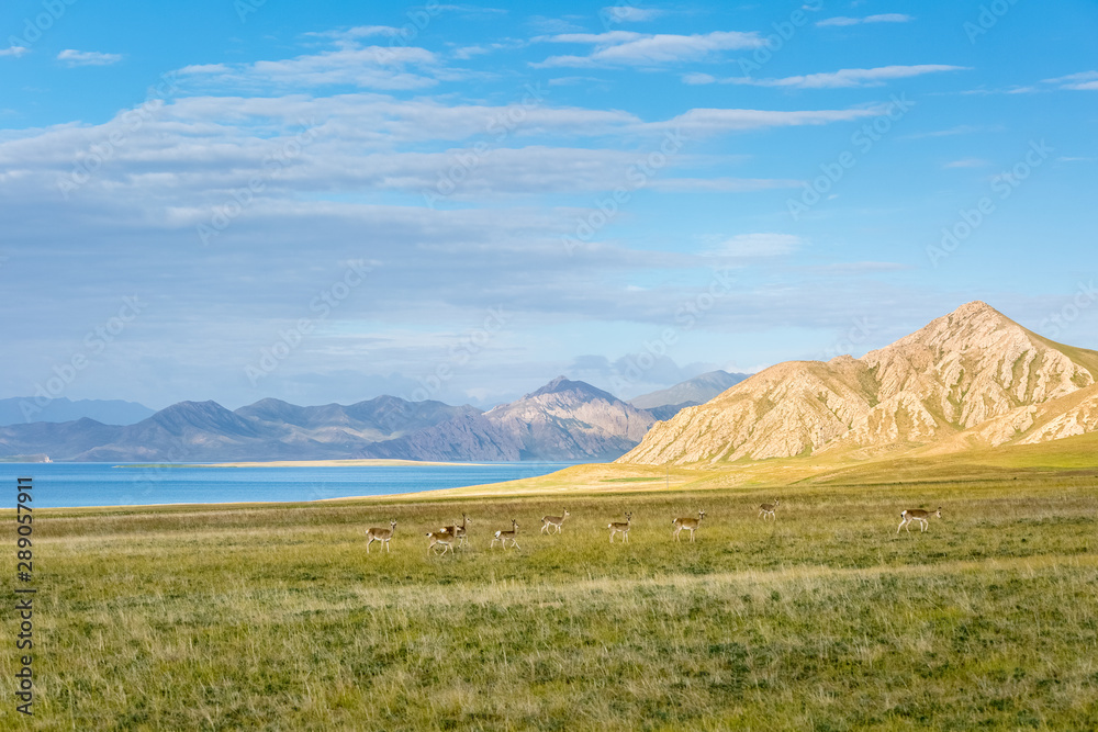 beautiful three river sources nature reserve landscape beautiful three river sources nature reserve landscape