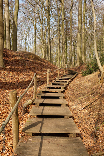 Wooden path in a foret